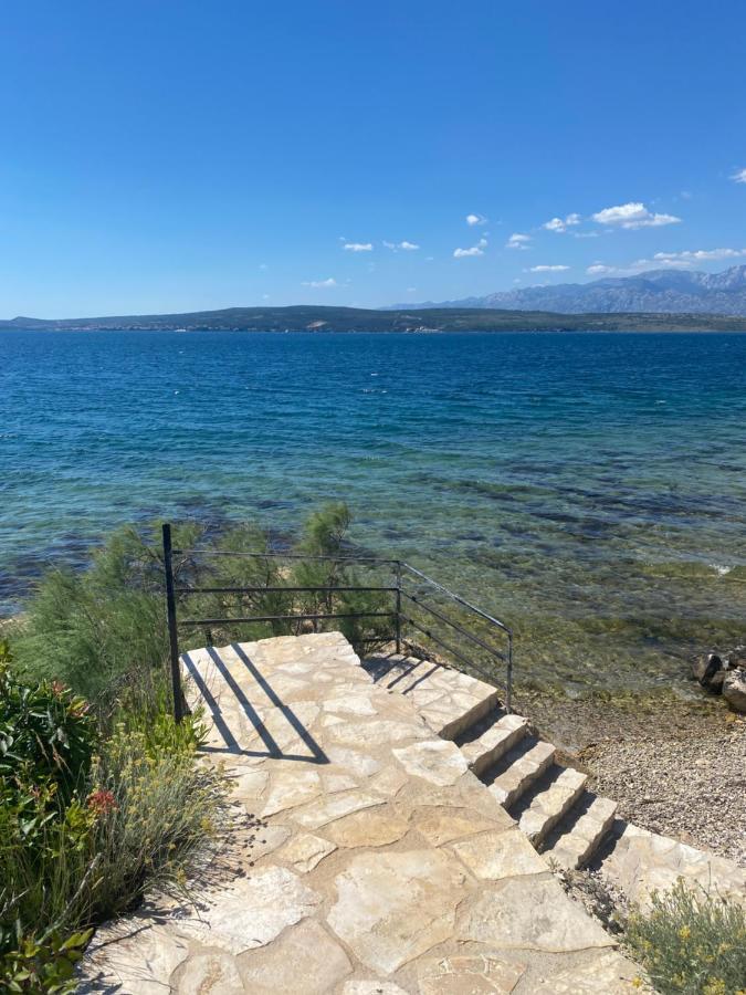 Apartments Mikecin Novigrad  Exterior foto