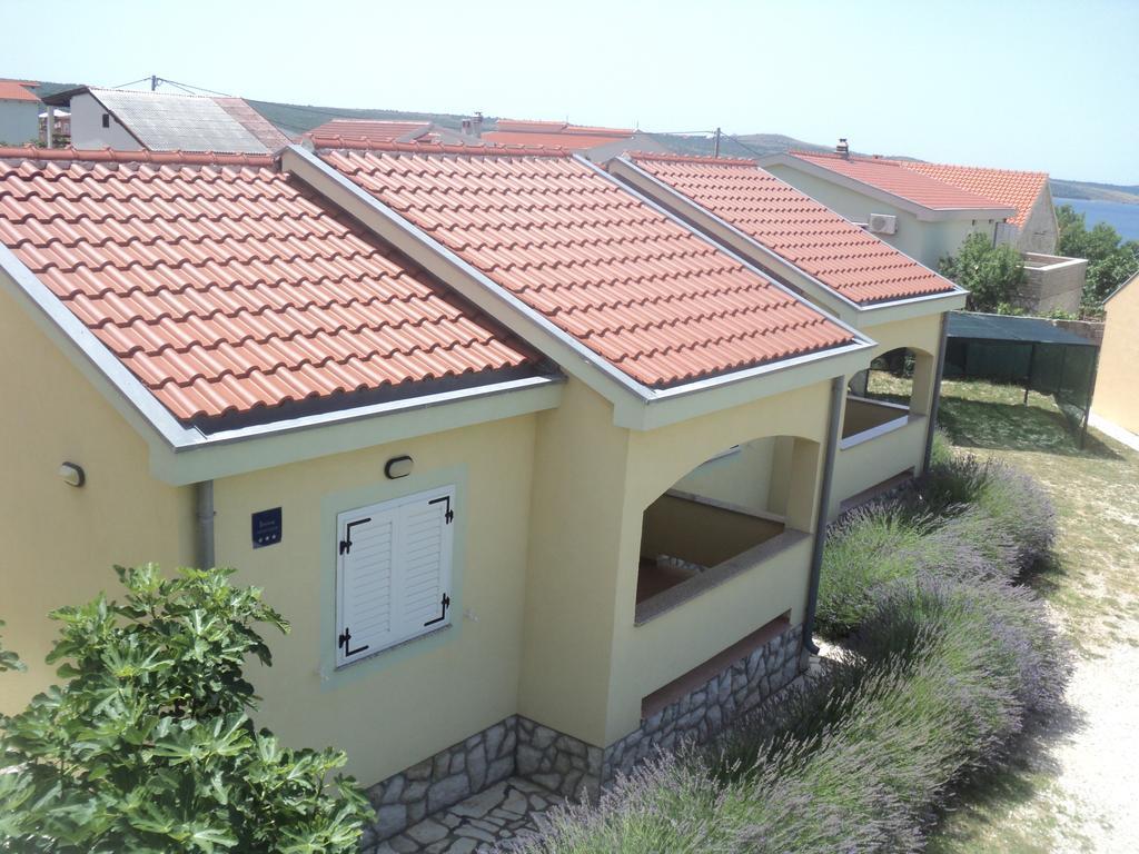 Apartments Mikecin Novigrad  Exterior foto